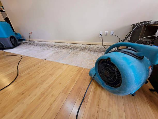 Professional Burst Pipe Water Damage technician working in Garrett Park, MD